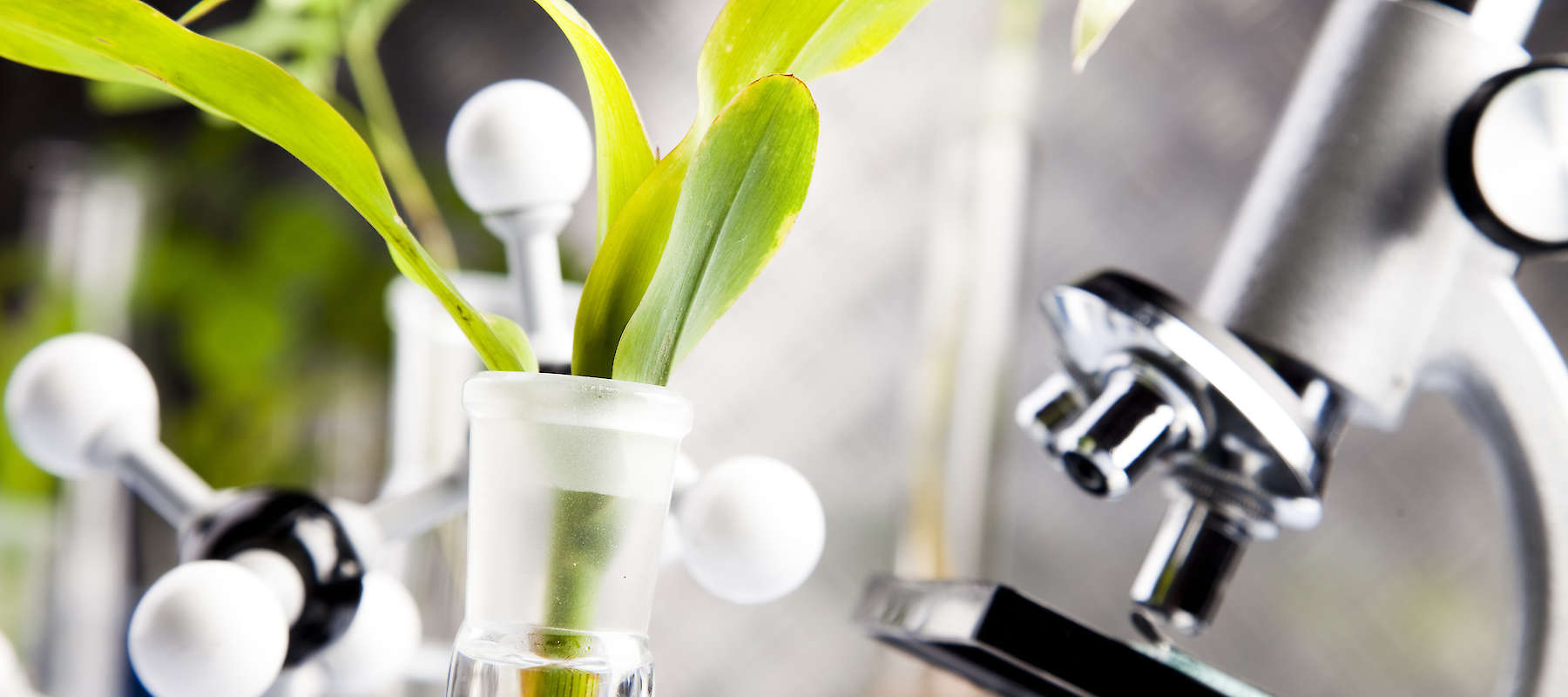 professionelle Hautberatung bei Académie de Beauté im Heuchelheim