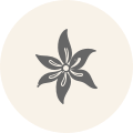 Icon Blüte